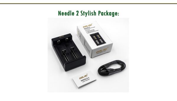 GOLISI NEEDLE 2 USB MINI CHARGER