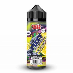 BLUEBERRY LEMONADE 100ML E LIQUID FIZZY JUICE