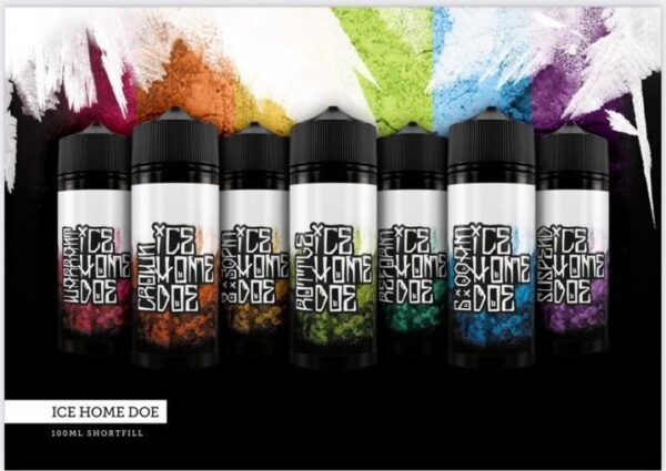 REFORM 100ML E LIQUID ICE HOME DOE
