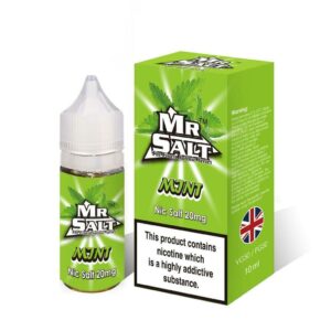 MINT 10ML NIC SALT MR SALT