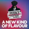 BLUEBERRY SOUR RASPBERRY 100ML E LIQUID PEEKY POD BAR - Image 2
