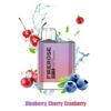 FIREROSE NOVA 600 DISPOSABLE VAPE KIT 20MG BY ELUX - Image 44