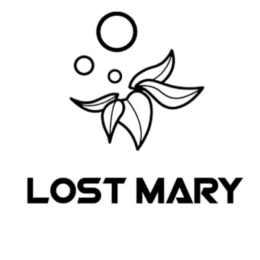 LOST MARY