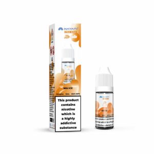 BRU ICE 10ML NIC SALT HAYATI PRO MAX
