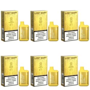 LOST MARY BM600S GOLD EDITION DISPOSABLE VAPE KIT 20MG