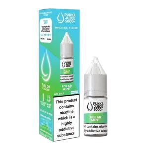 POLAR MINT 10ML NIC SALT PUKKA JUICE 5000+