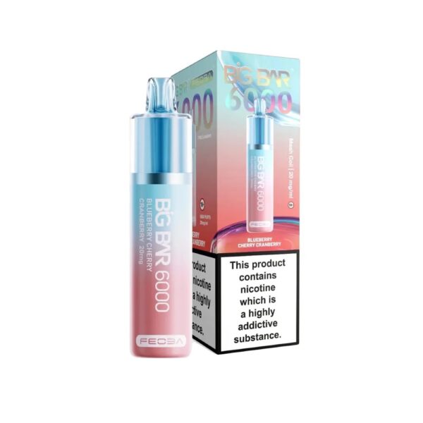 BIG BAR 6000 DISPOSABLE VAPE KIT 20MG BY FEOBA - Image 3
