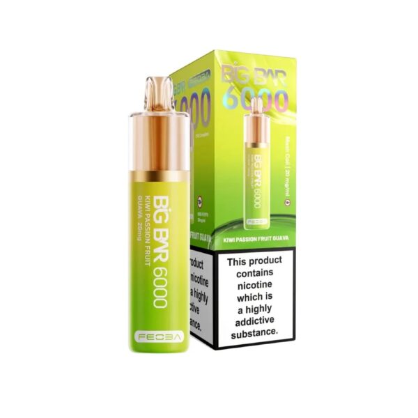 BIG BAR 6000 DISPOSABLE VAPE KIT 20MG BY FEOBA - Image 10