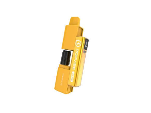 GEEK VAPE POPVIBE V5000 PREFILLED POD VAPE KIT 20MG - Image 30