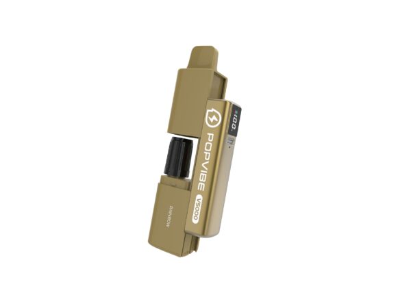 GEEK VAPE POPVIBE V5000 PREFILLED POD VAPE KIT 20MG - Image 34