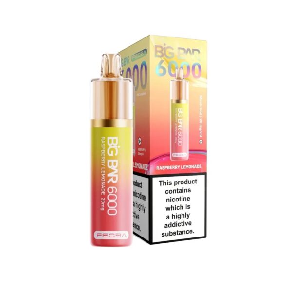 BIG BAR 6000 DISPOSABLE VAPE KIT 20MG BY FEOBA - Image 15