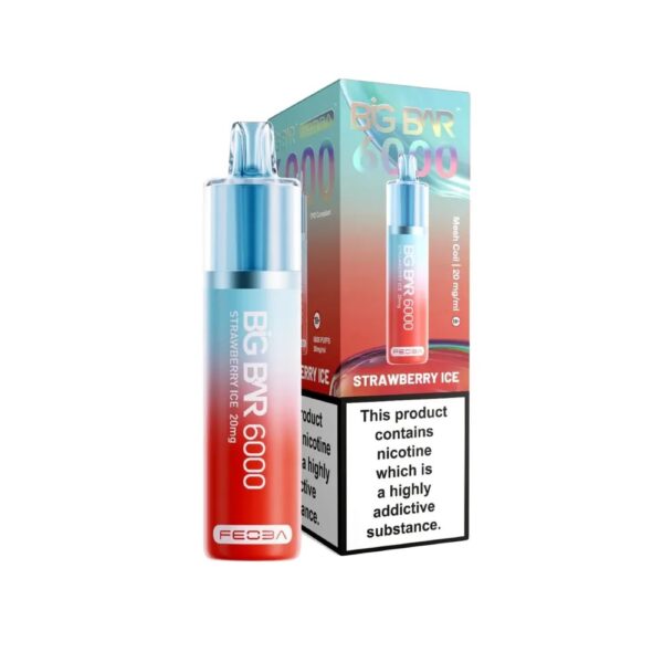 BIG BAR 6000 DISPOSABLE VAPE KIT 20MG BY FEOBA - Image 16