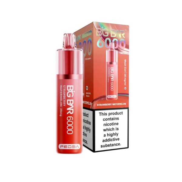 BIG BAR 6000 DISPOSABLE VAPE KIT 20MG BY FEOBA - Image 19