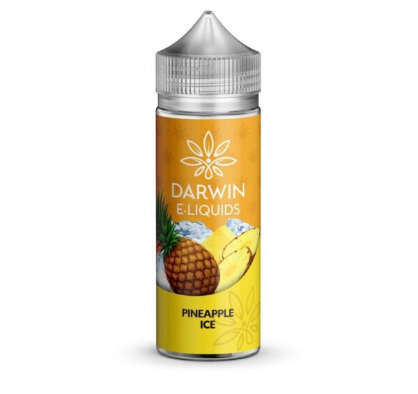 PINEAPPLE ICE 100ML E LIQUID DARWIN