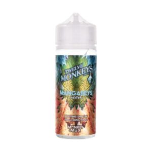 MANGABEYS ICED 100ML E LIQUID TWELVE MONKEYS