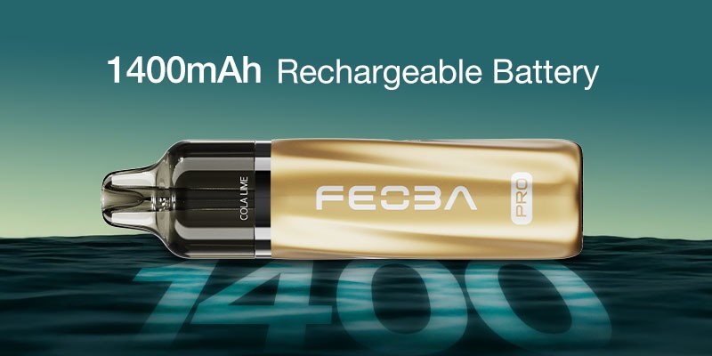 FEOBA BAR PRO 6000 battery information