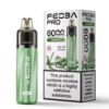 FEOBA BAR PRO 6000 PREFILLED POD VAPE KIT 20MG - Image 30