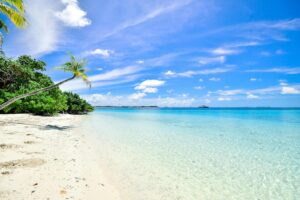 the best vapes to bring on holiday