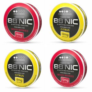 88 NIC NICOTINE POUCHES