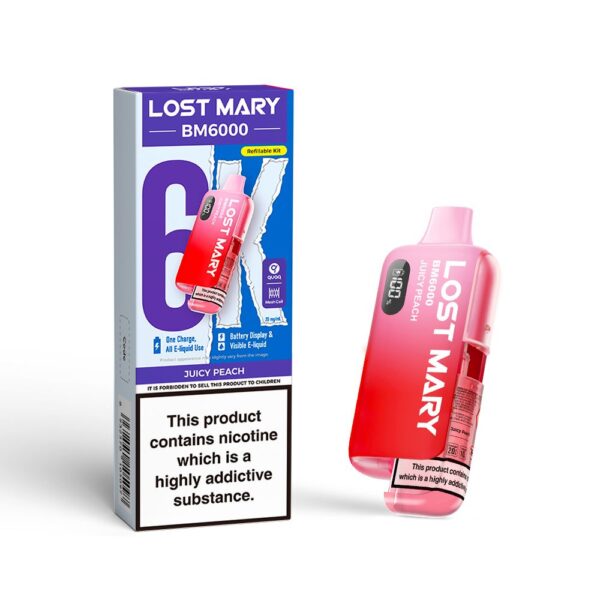 LOST MARY BM6000 PREFILLED POD VAPE KIT 20MG - Image 4