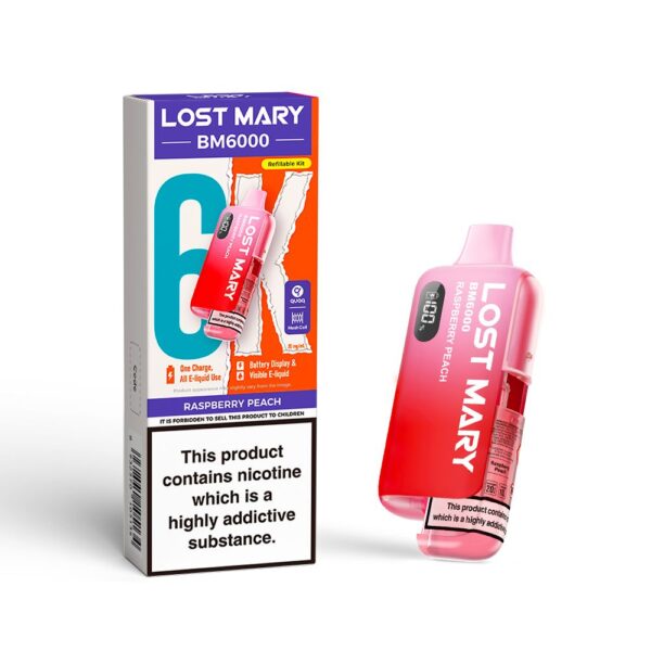 LOST MARY BM6000 PREFILLED POD VAPE KIT 20MG - Image 13