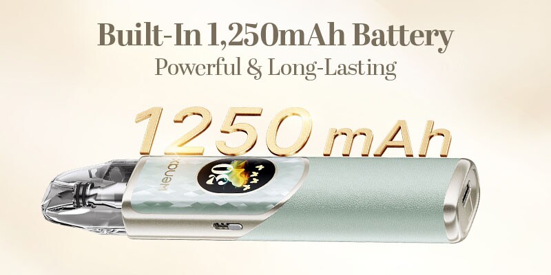 GEEKVAPE WENAX Q2 POD VAPE KIT battery information